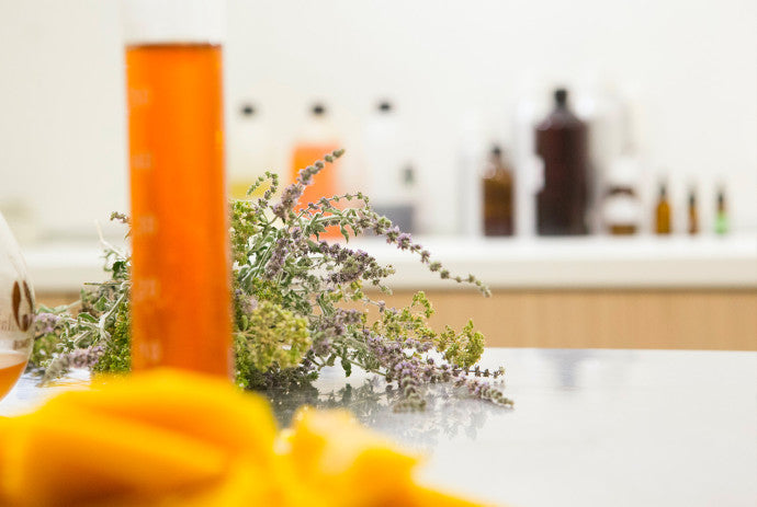 Beliflor X La Beauté du Cœur