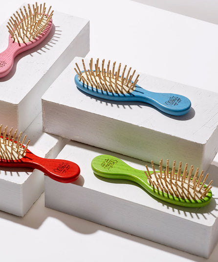 Mini Brosse en Frêne Colorée TEK