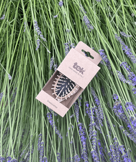 Brosse de Massage du cuir chevelu TEK