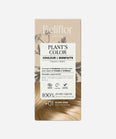 Plant's Color N°01 Blond Doré