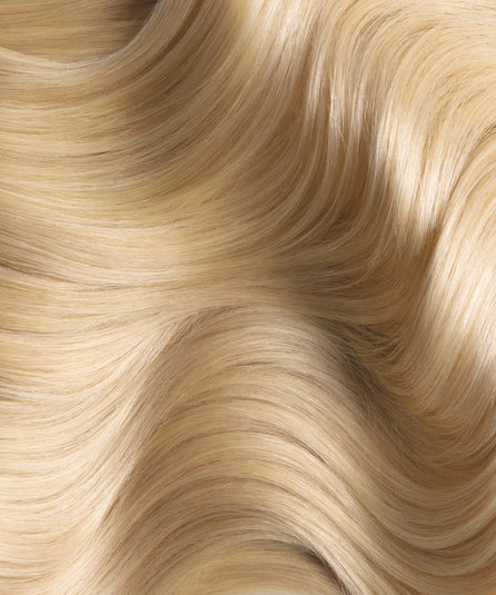 Plant's Color N°01 Blond Doré nuance