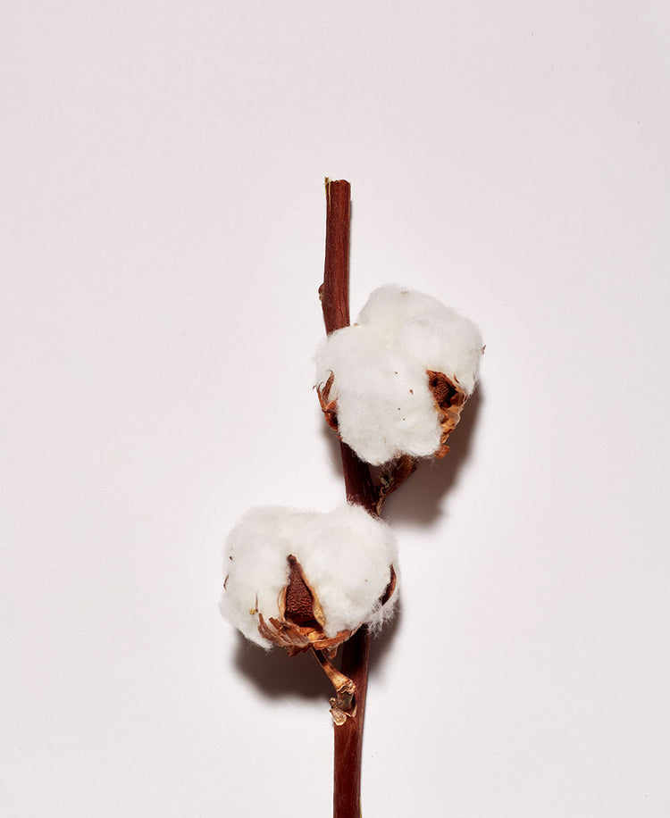 COTON