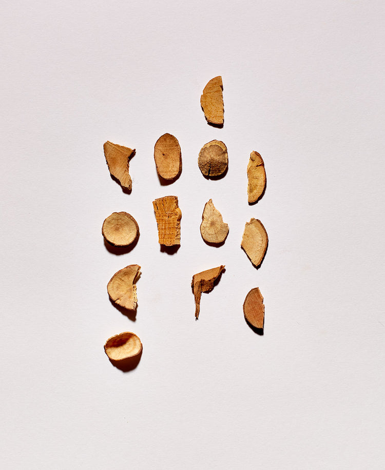 LINDERA STRYCHNIFOLIA