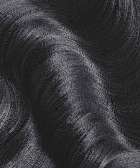 Plant's Color N°10 Noir nuance