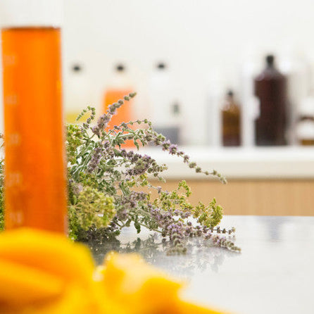 Beliflor X La Beauté du Cœur