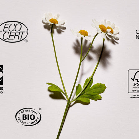 Les différents Labels en cosmétiques : au secours, j'y comprends rien!