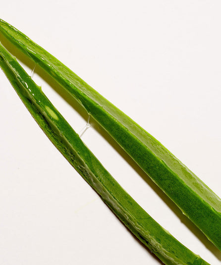 Gel Frais et bio d'Aloé Vera à boire Prim Aloé