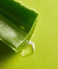 Jus Frais et bio d'Aloé Vera à boire Prim Aloé