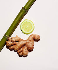 Shampooing Crème Détox