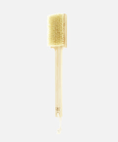 Brosse de Bain à Manche en Frêne et Nylon Antibactérien TEK