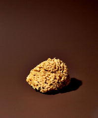 Éponge de Mer Mahdia 8cm