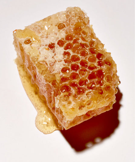 Baume Magique - L'Égypte Éternelle 30ml