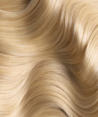 Plant's Color N°01 Blond Doré nuance