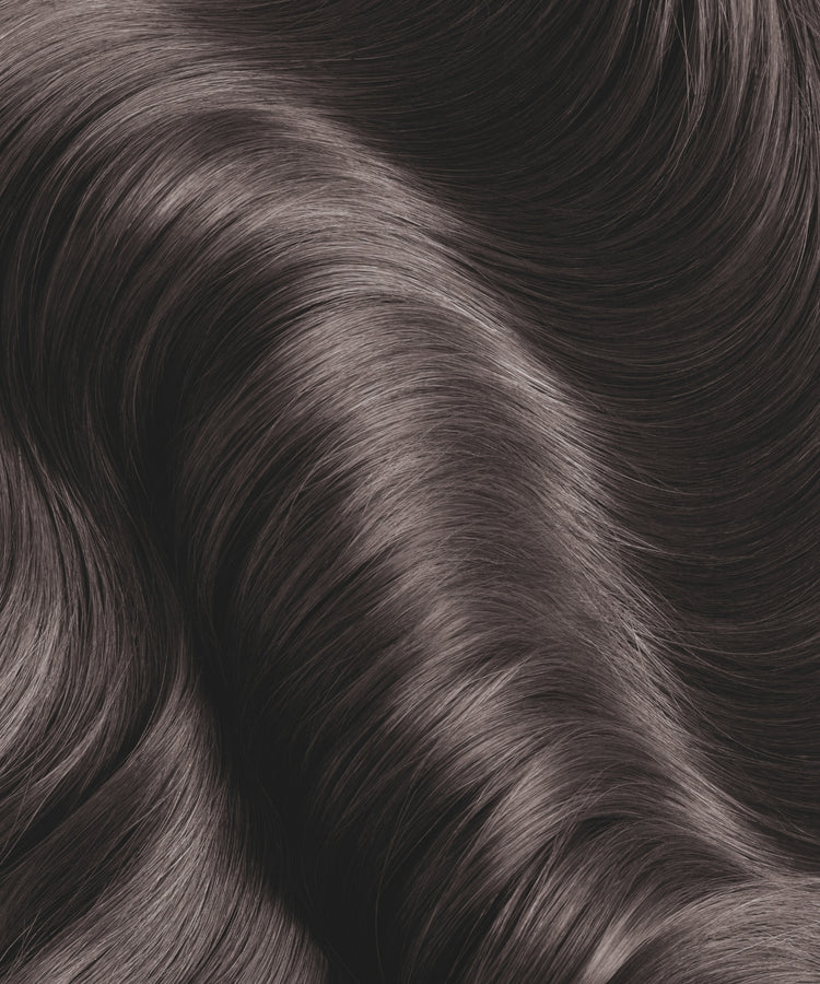 Plant's Color N°09 Brun nuance