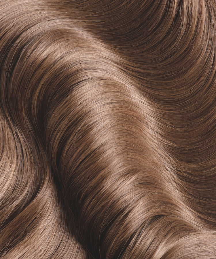 Plant's Color N°05 Caramel nuance