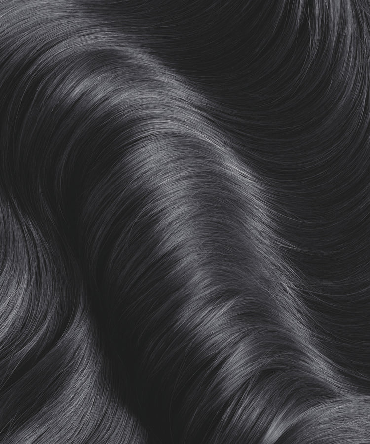 Plant's Color N°10 Noir nuance