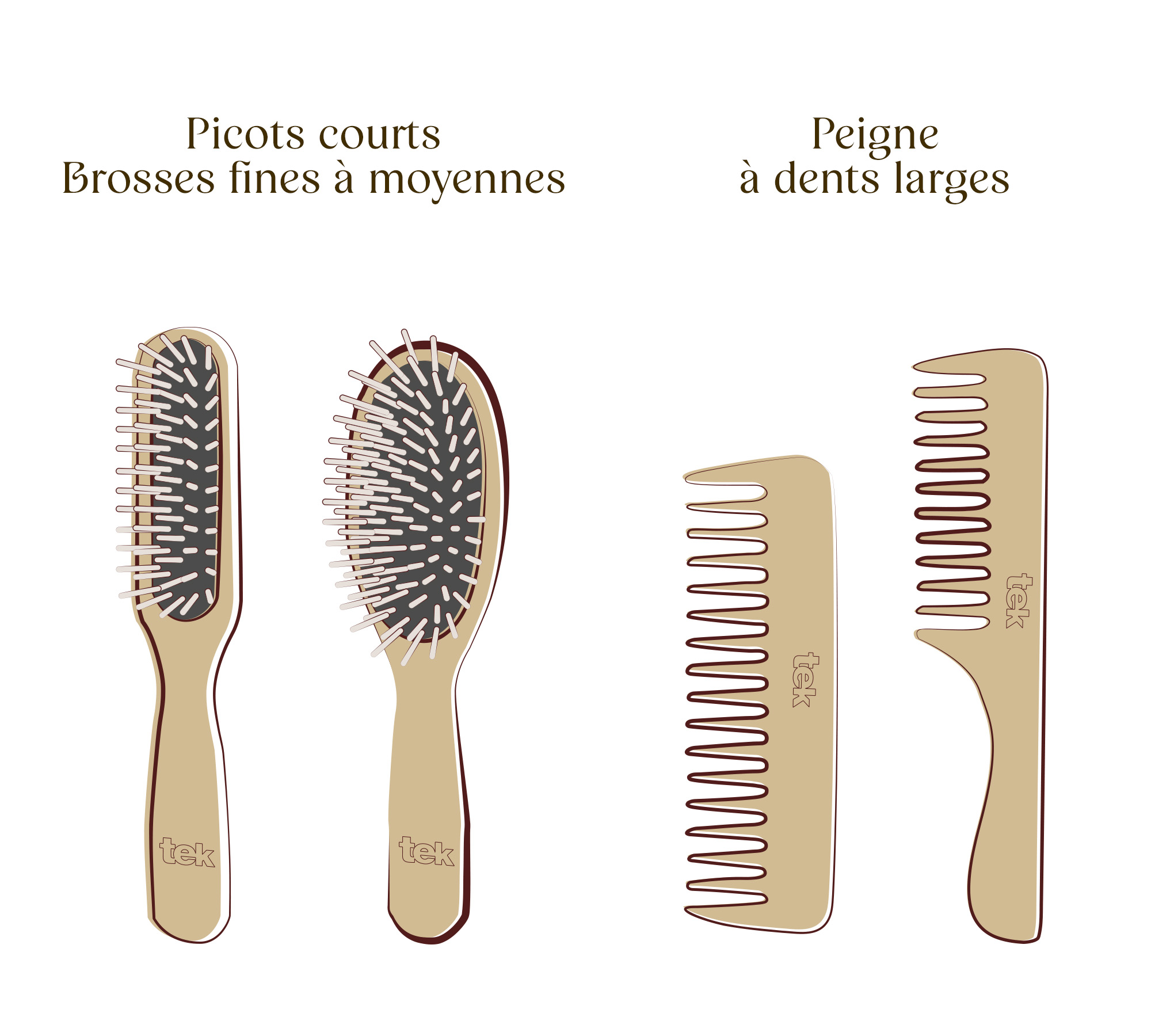 Les différents types de peigne et de brosse