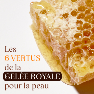 🍯 Connaissez-vous les propriétés de la Gelée Royale sur la peau? 
C’est un actif puissant et 100% naturel produit par les 🐝

Découvrez les 6 vertus principales de cet ingrédient miraculeux qui est présent dans notre #BaumeMagique.

#beliflor #BaumeMagique #baumebio #geleeroyale #soinvisage