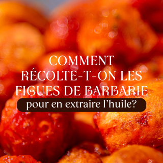 Une communauté de femmes en Tunisie et un travail d'équipe qui demande du doigté ! 🧤 Et beaucoup d'expérience.

Tout savoir sur la récolte des figues de Barbarie qui serviront à la conception de nos soins #dermafig et à notre huile rare de pépins de figues de Barbarie 🌵

#artisanat #beliflor #dermafig #huiledepepinsdefiguedebarbarie #huilevisage #huileantiride #tunisie #figuedebarbarie